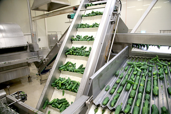 Limpieza criogénica en industria alimentaria